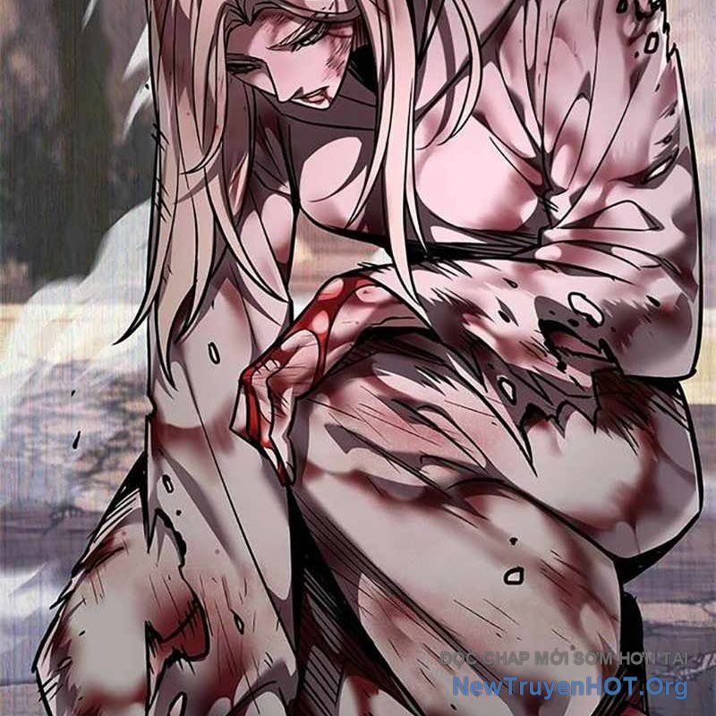 Hoá Thân Thành Mèo Chap 366 - Next Chap 367