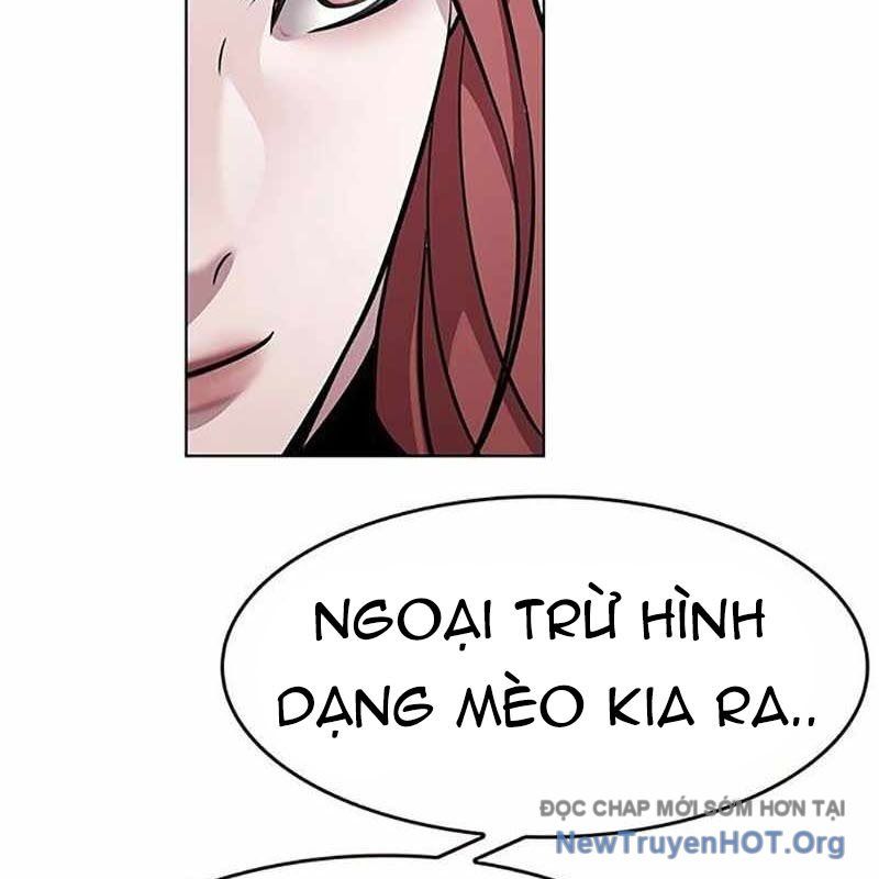Hoá Thân Thành Mèo Chap 366 - Next Chap 367