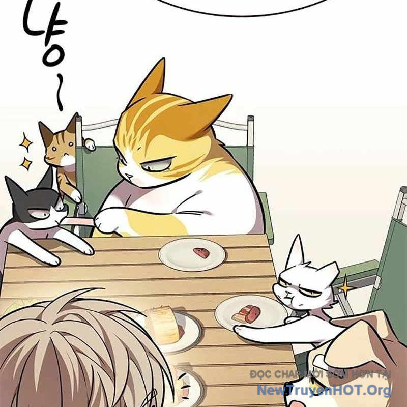 Hoá Thân Thành Mèo Chap 366 - Next Chap 367