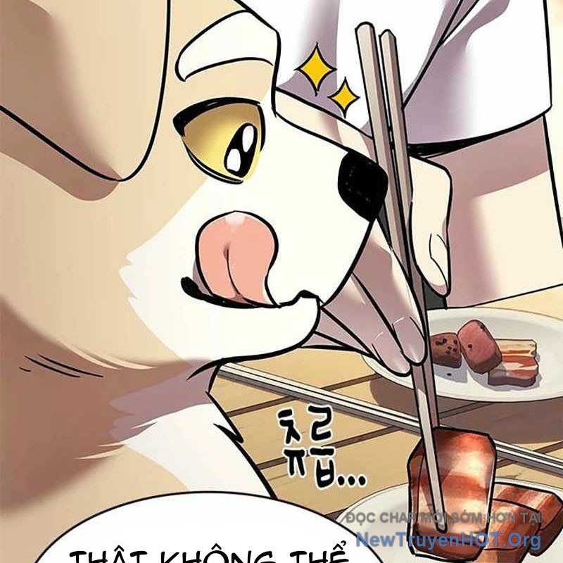 Hoá Thân Thành Mèo Chap 366 - Next Chap 367