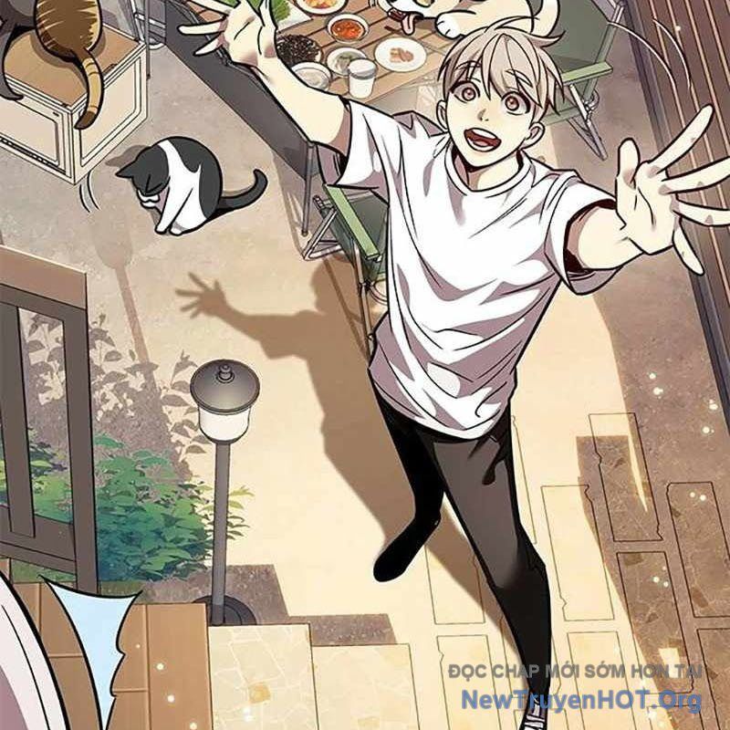 Hoá Thân Thành Mèo Chap 366 - Next Chap 367