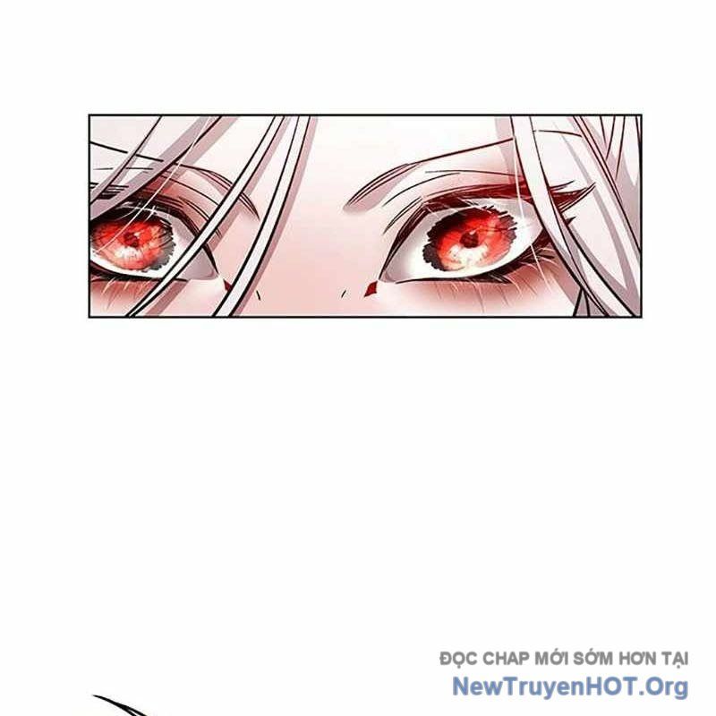 Hoá Thân Thành Mèo Chap 366 - Next Chap 367