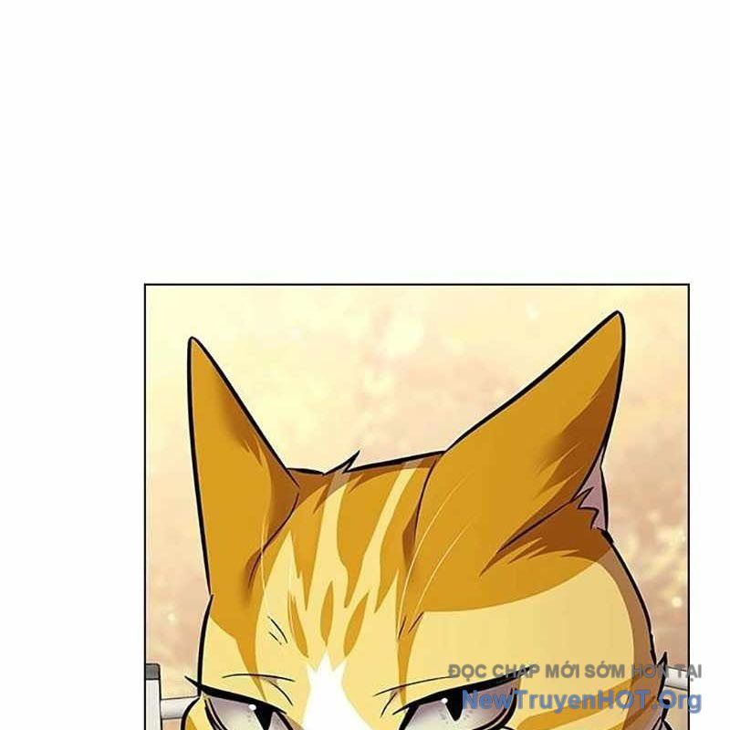 Hoá Thân Thành Mèo Chap 366 - Next Chap 367