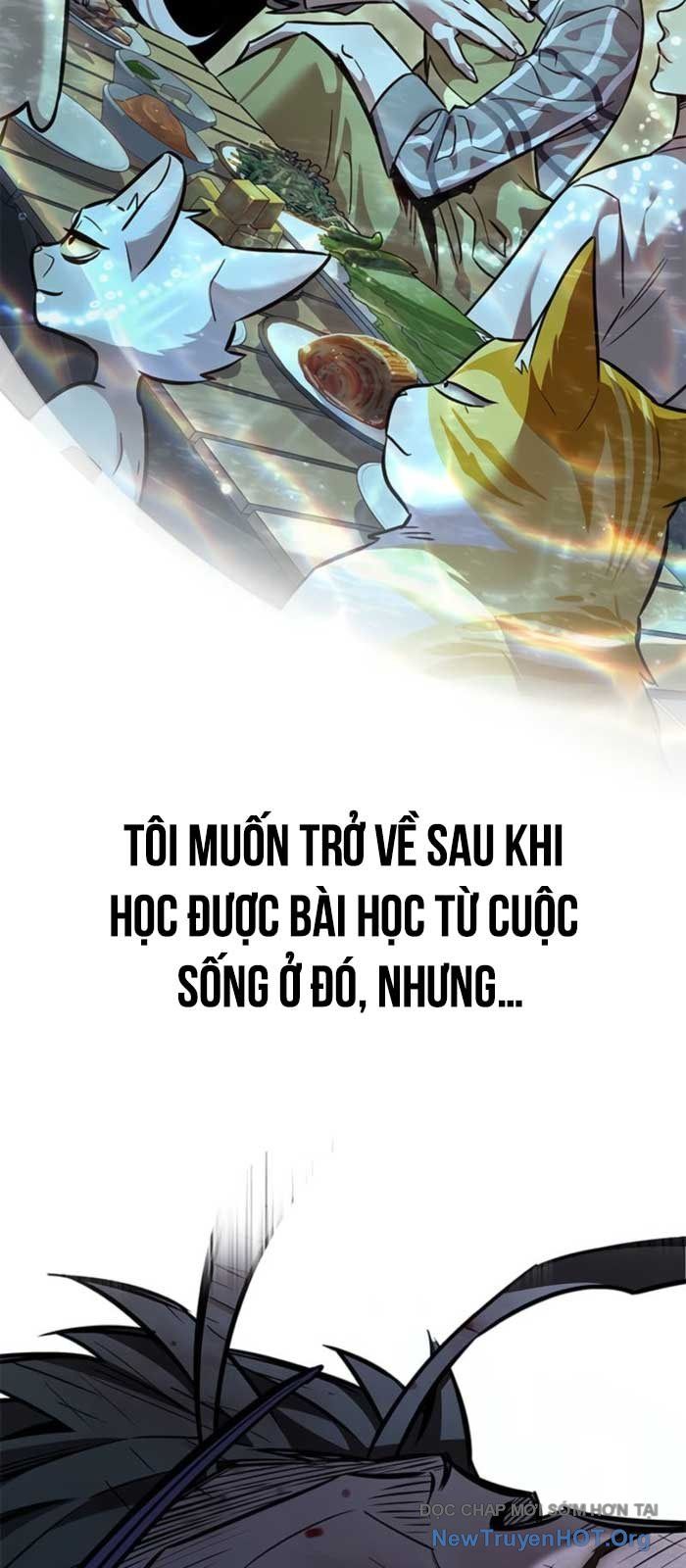 Hoá Thân Thành Mèo Chap 368 - Next Chap 369