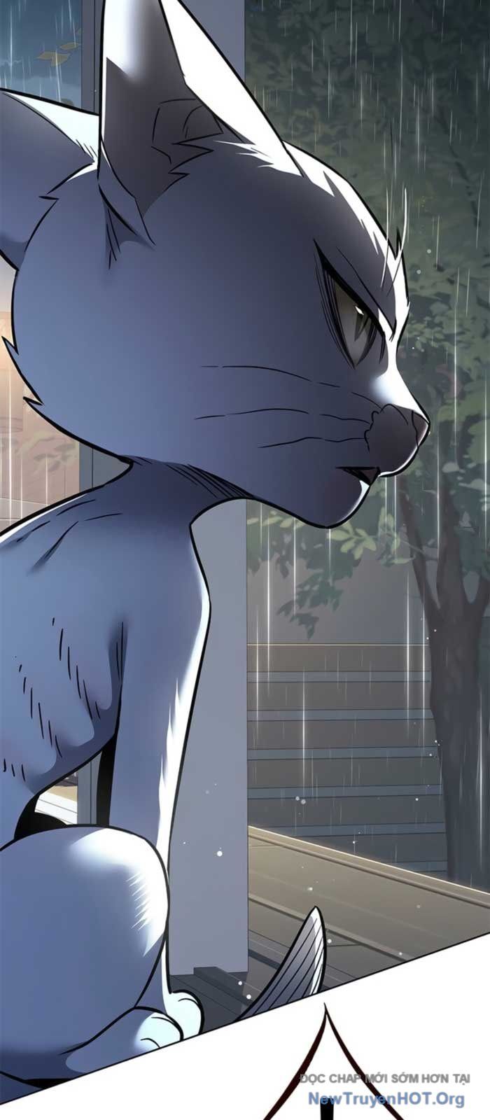 Hoá Thân Thành Mèo Chap 369 - Next Chap 370