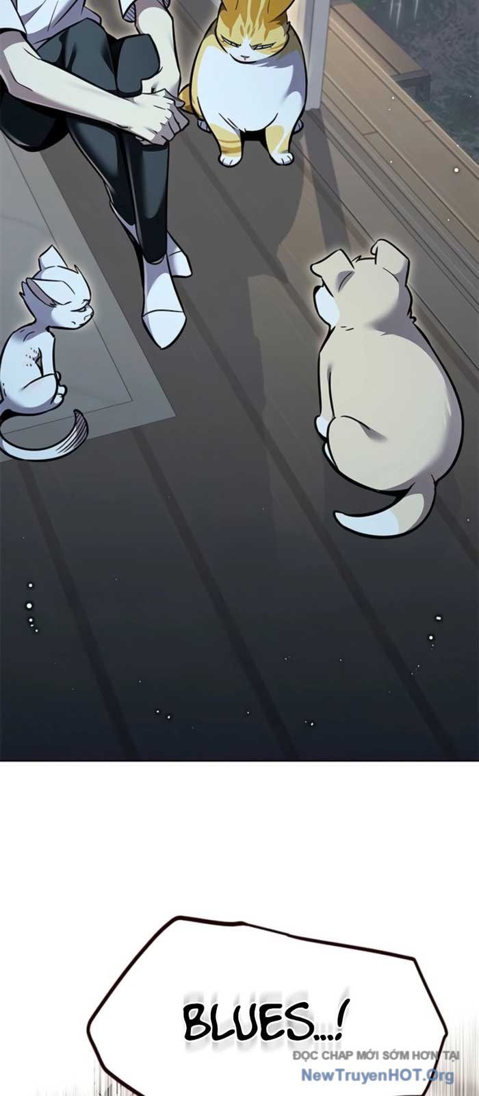 Hoá Thân Thành Mèo Chap 369 - Next Chap 370