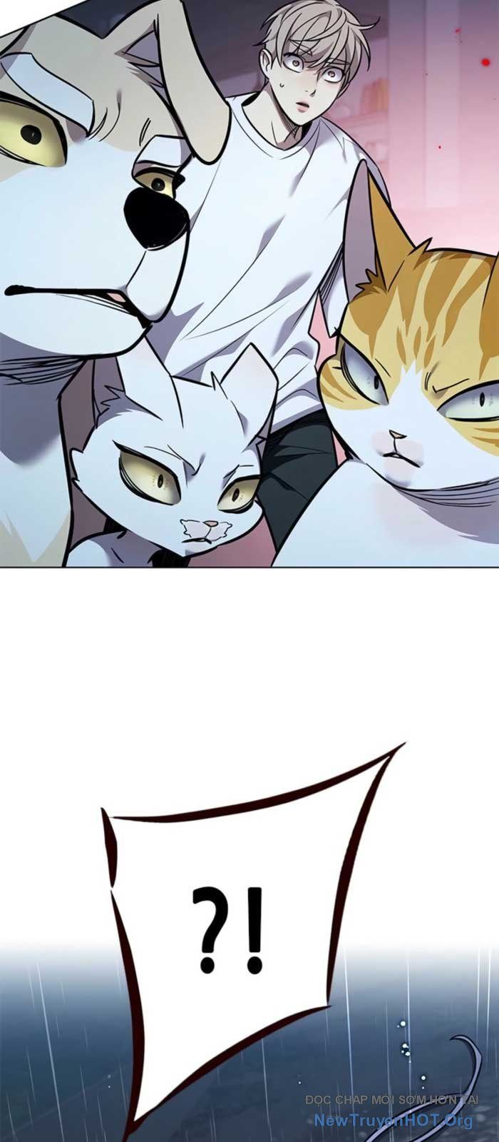 Hoá Thân Thành Mèo Chap 369 - Next Chap 370