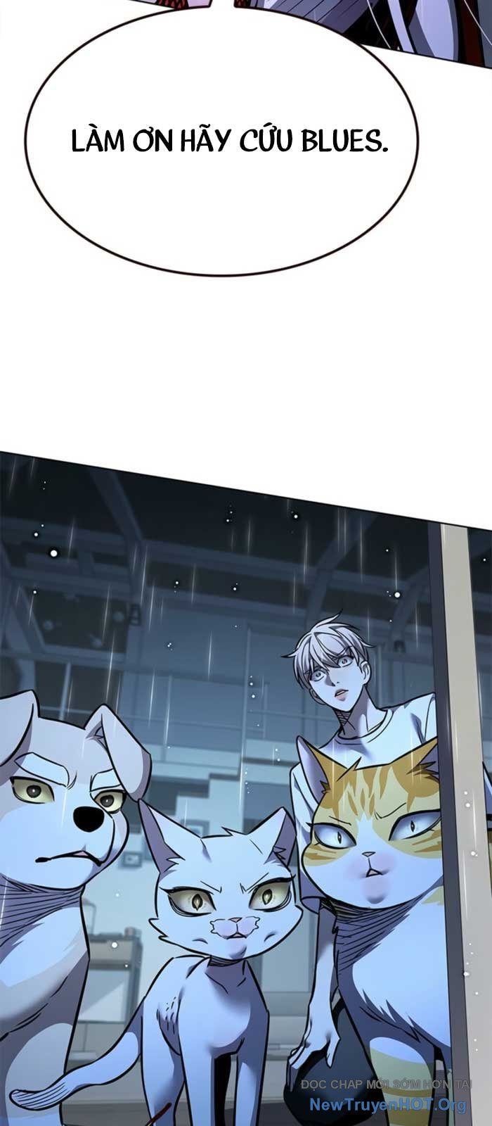 Hoá Thân Thành Mèo Chap 369 - Next Chap 370