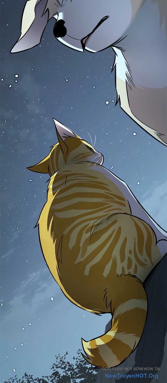 Hoá Thân Thành Mèo Chap 369 - Next Chap 370