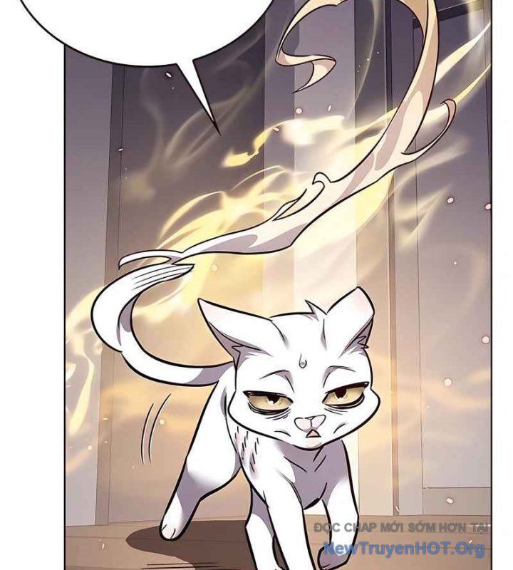 Hoá Thân Thành Mèo Chap 370 - Next Chap 371