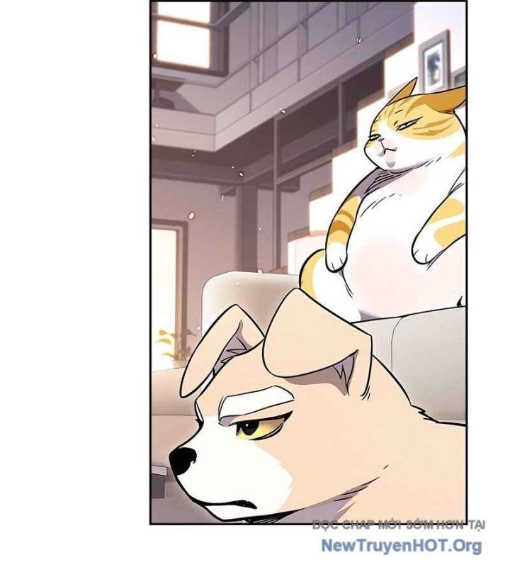 Hoá Thân Thành Mèo Chap 370 - Next Chap 371