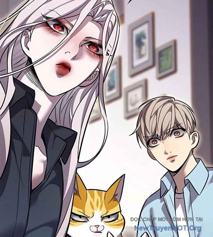 Hoá Thân Thành Mèo Chap 370 - Next Chap 371