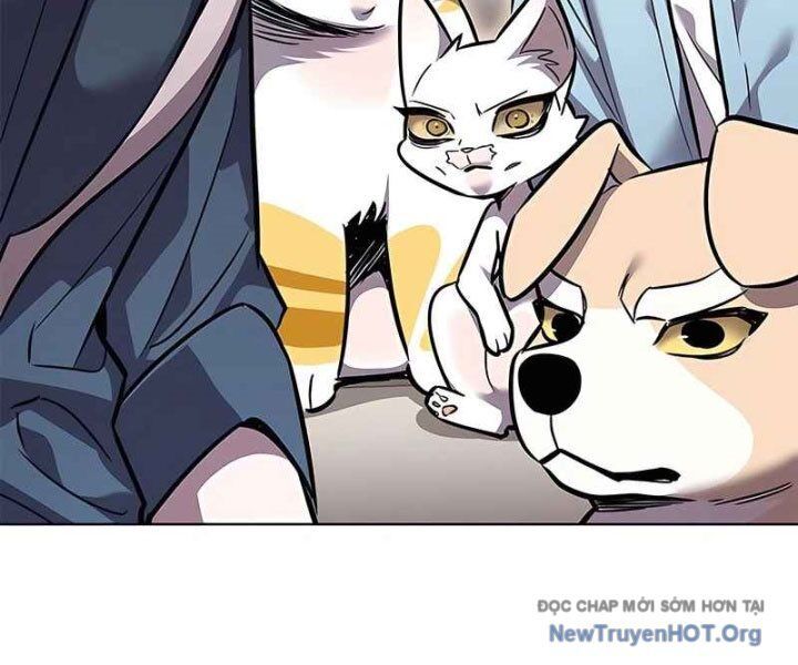 Hoá Thân Thành Mèo Chap 370 - Next Chap 371
