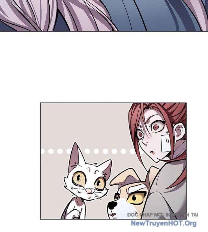 Hoá Thân Thành Mèo Chap 370 - Next Chap 371