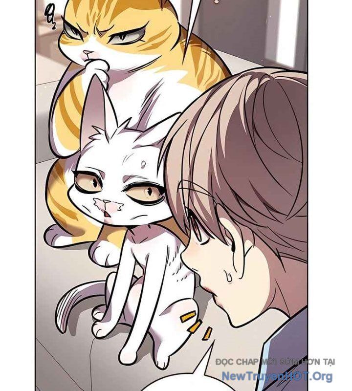 Hoá Thân Thành Mèo Chap 370 - Next Chap 371
