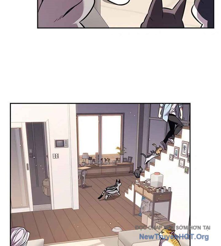 Hoá Thân Thành Mèo Chap 370 - Next Chap 371