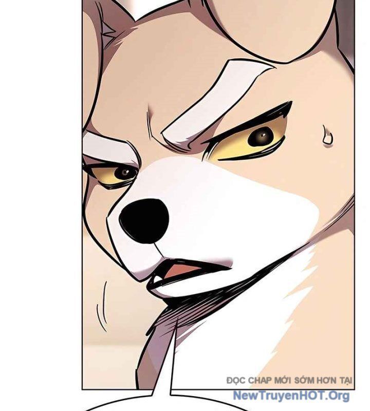 Hoá Thân Thành Mèo Chap 370 - Next Chap 371