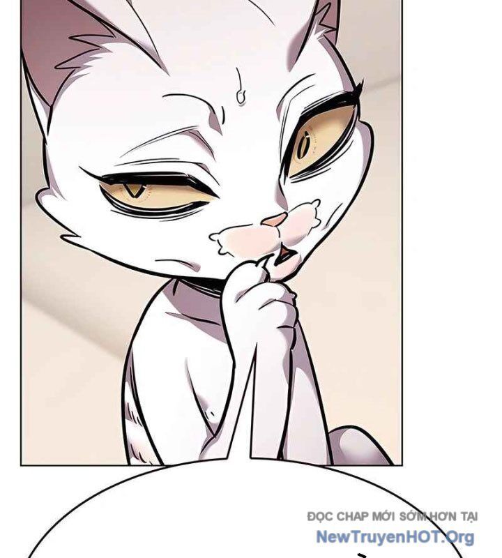 Hoá Thân Thành Mèo Chap 370 - Next Chap 371