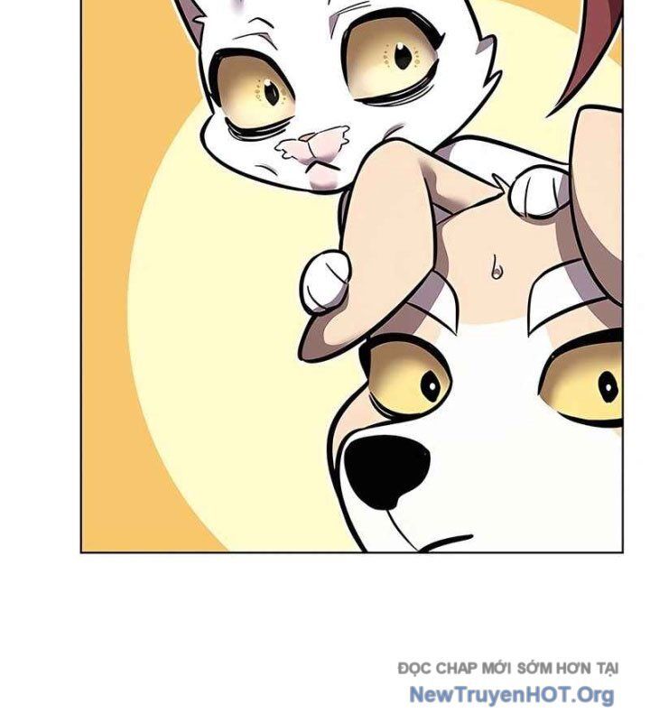 Hoá Thân Thành Mèo Chap 370 - Next Chap 371