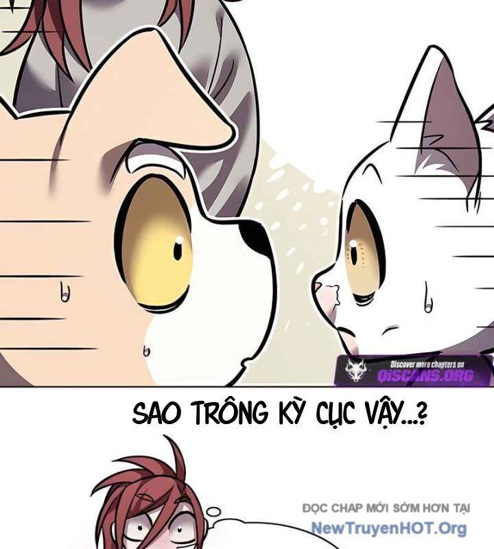 Hoá Thân Thành Mèo Chap 370 - Next Chap 371