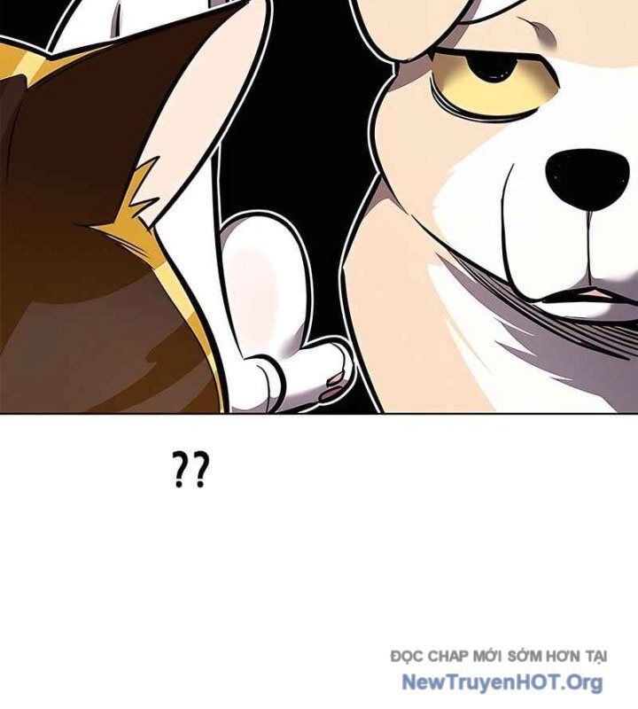 Hoá Thân Thành Mèo Chap 370 - Next Chap 371