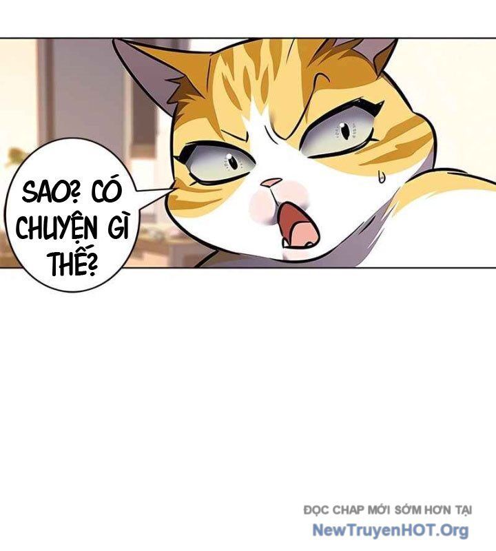 Hoá Thân Thành Mèo Chap 370 - Next Chap 371