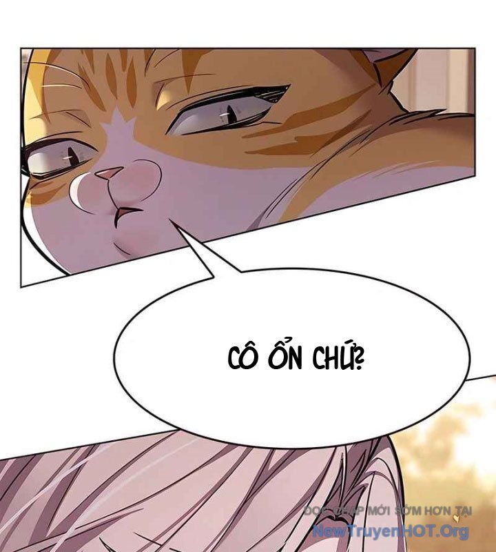 Hoá Thân Thành Mèo Chap 370 - Next Chap 371