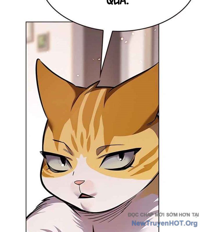 Hoá Thân Thành Mèo Chap 370 - Next Chap 371