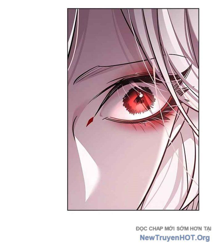 Hoá Thân Thành Mèo Chap 370 - Next Chap 371