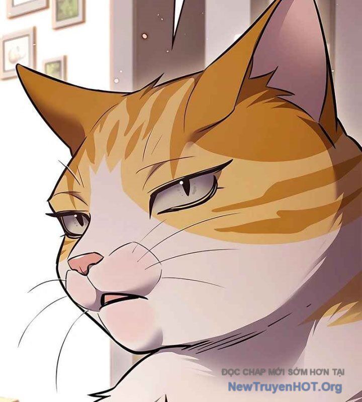 Hoá Thân Thành Mèo Chap 370 - Next Chap 371