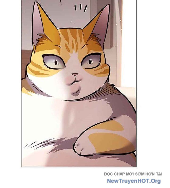 Hoá Thân Thành Mèo Chap 370 - Next Chap 371