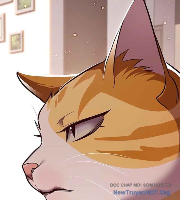 Hoá Thân Thành Mèo Chap 370 - Next Chap 371