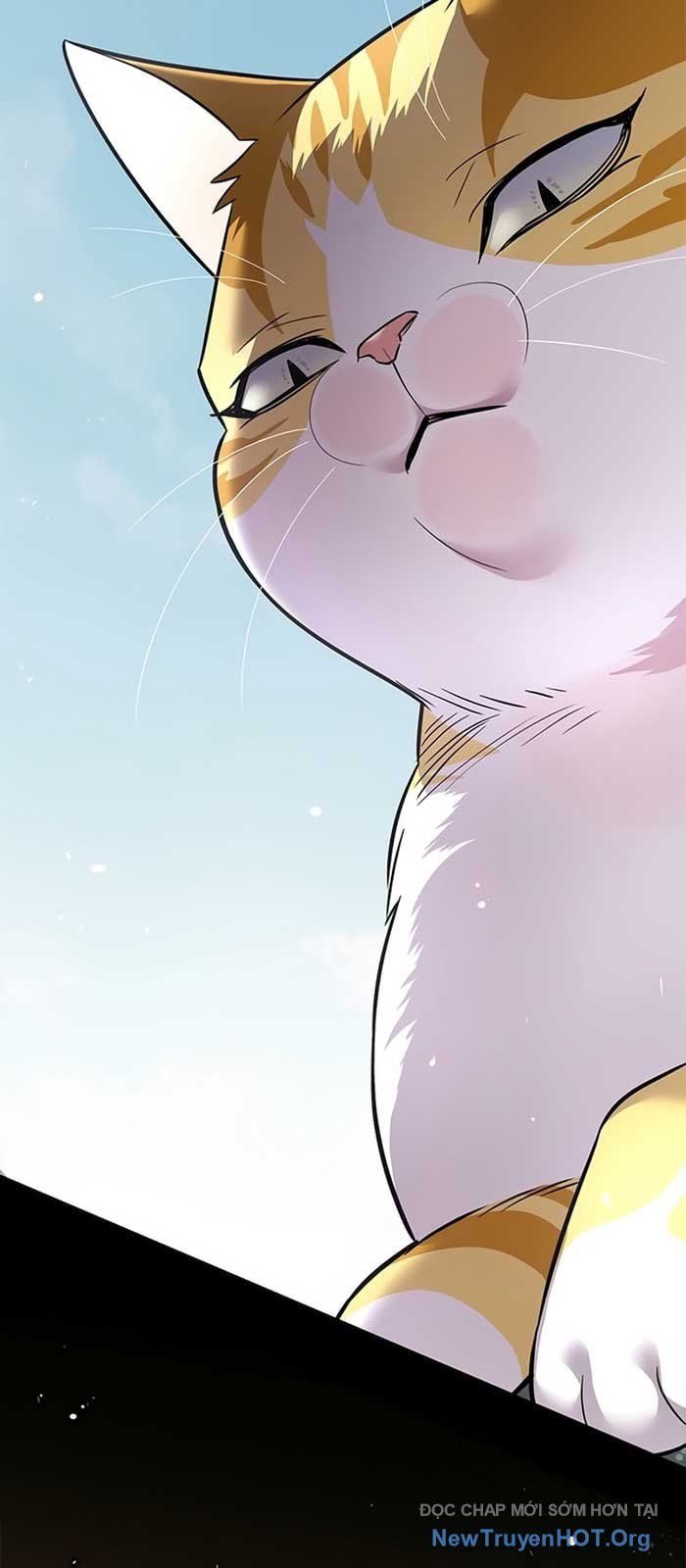 Hoá Thân Thành Mèo Chap 371 - Next Chap 372