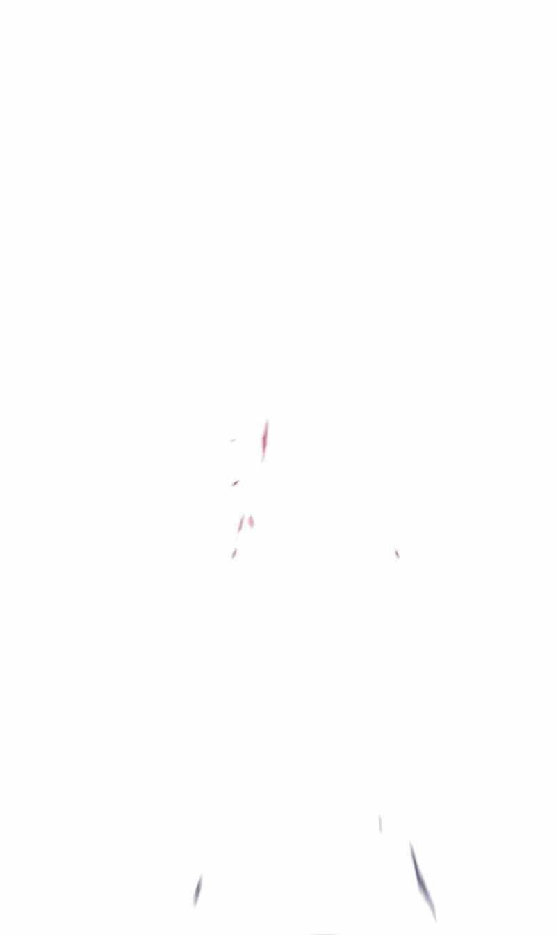 Hoá Thân Thành Mèo Chap 316 - Next Chap 317