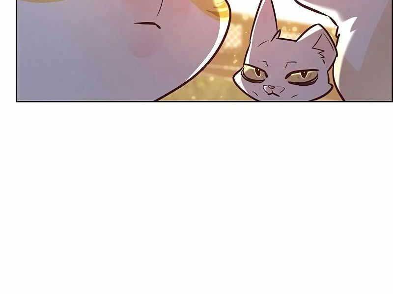 Hoá Thân Thành Mèo Chap 325 - Next Chap 326