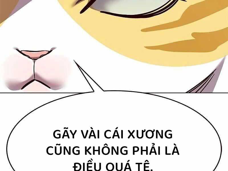 Hoá Thân Thành Mèo Chap 325 - Next Chap 326