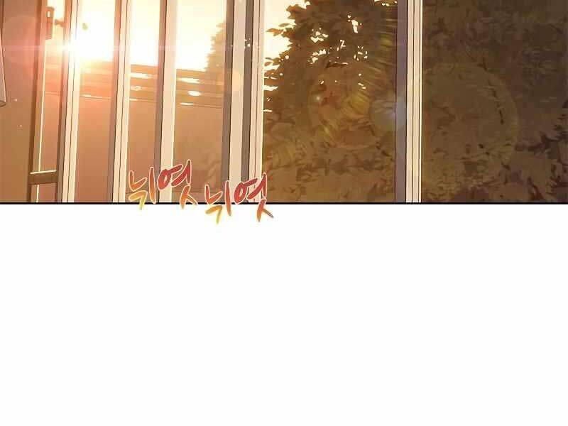 Hoá Thân Thành Mèo Chap 325 - Next Chap 326