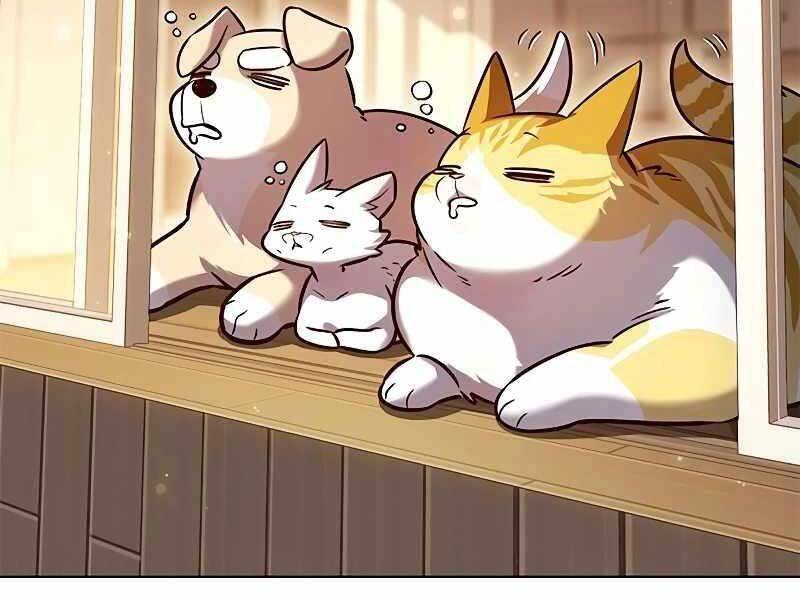 Hoá Thân Thành Mèo Chap 325 - Next Chap 326