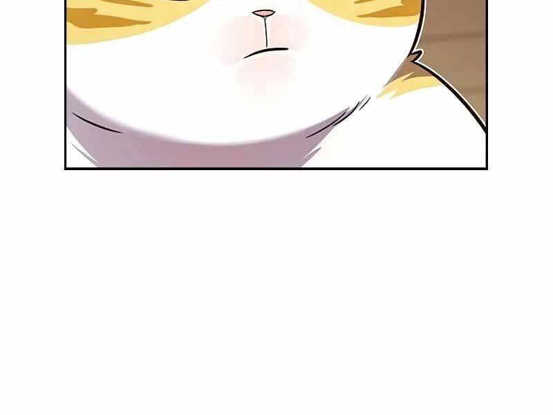 Hoá Thân Thành Mèo Chap 325 - Next Chap 326