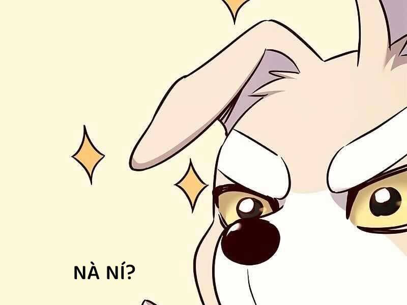 Hoá Thân Thành Mèo Chap 325 - Next Chap 326