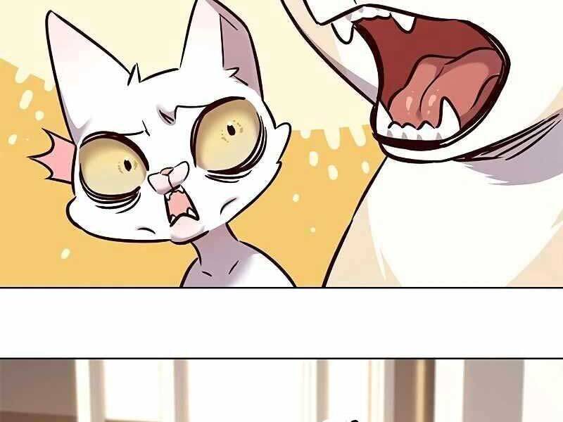 Hoá Thân Thành Mèo Chap 325 - Next Chap 326