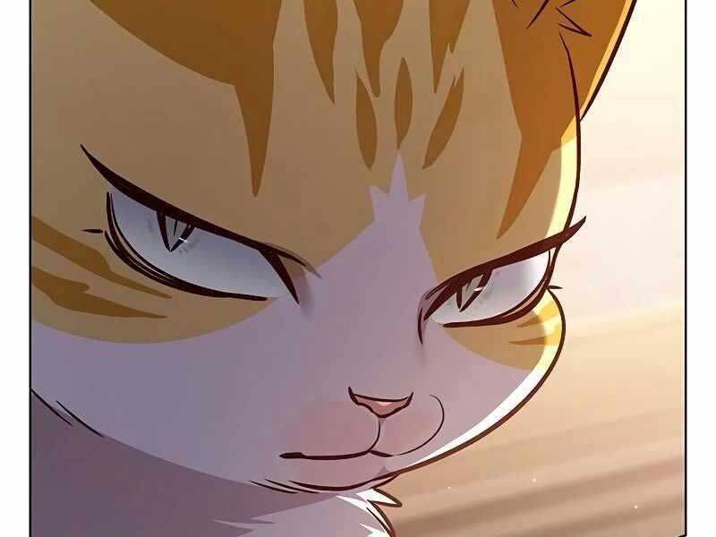 Hoá Thân Thành Mèo Chap 325 - Next Chap 326