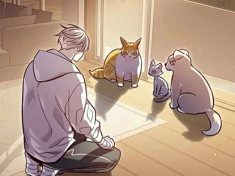 Hoá Thân Thành Mèo Chap 325 - Next Chap 326