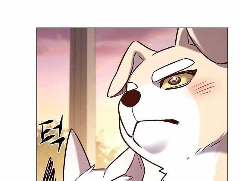Hoá Thân Thành Mèo Chap 325 - Next Chap 326