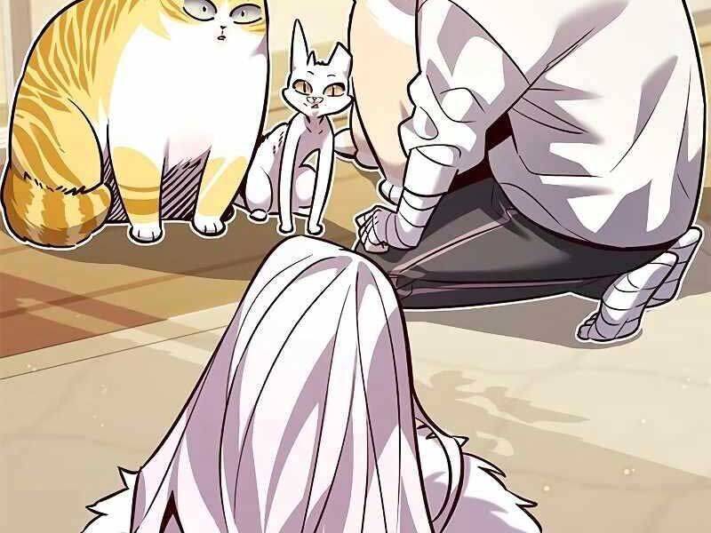 Hoá Thân Thành Mèo Chap 325 - Next Chap 326