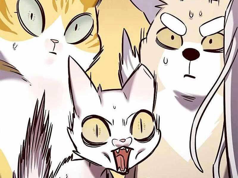 Hoá Thân Thành Mèo Chap 325 - Next Chap 326