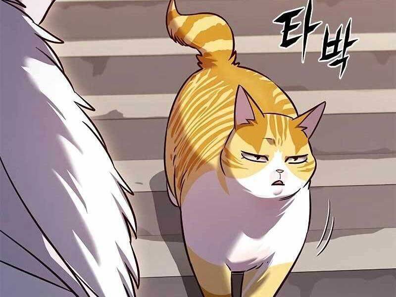 Hoá Thân Thành Mèo Chap 325 - Next Chap 326