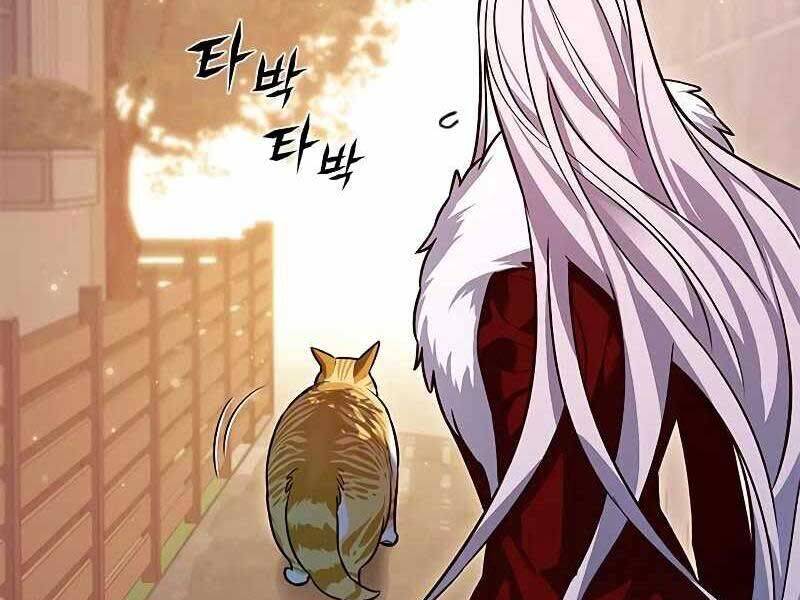 Hoá Thân Thành Mèo Chap 325 - Next Chap 326