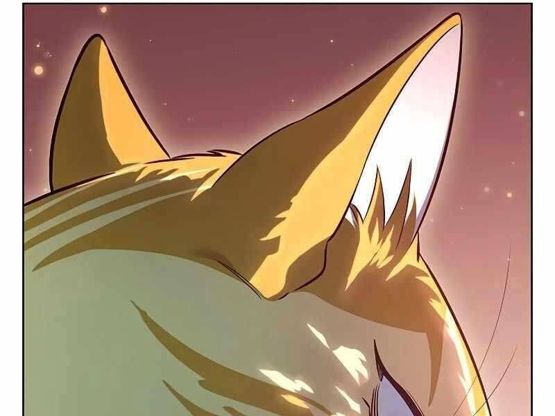 Hoá Thân Thành Mèo Chap 325 - Next Chap 326