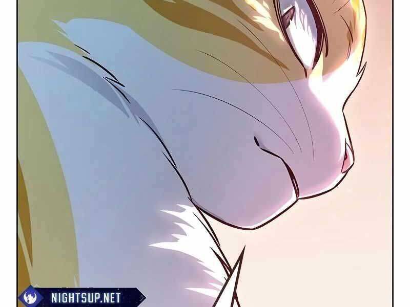 Hoá Thân Thành Mèo Chap 325 - Next Chap 326